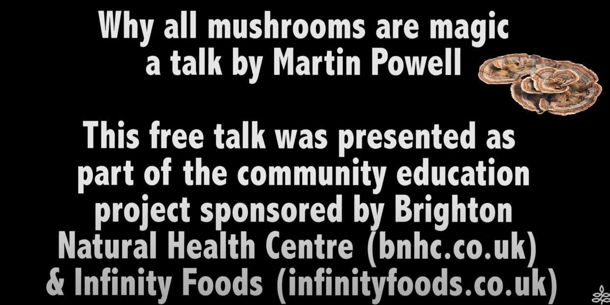 BNHC Talk: Why all mushrooms are magic - with Martin Powell.