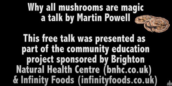 BNHC Talk: Why all mushrooms are magic - with Martin Powell.
